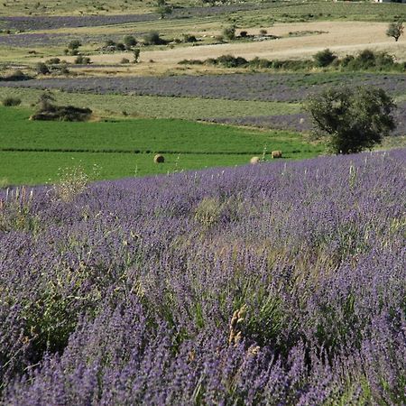 La Claveliere Ξενοδοχείο Saint-Auban-sur-lʼOuvèze Εξωτερικό φωτογραφία