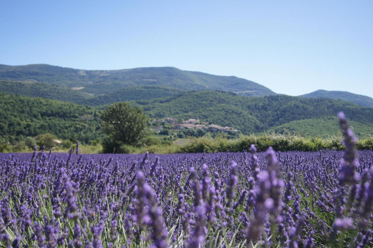 La Claveliere Ξενοδοχείο Saint-Auban-sur-lʼOuvèze Εξωτερικό φωτογραφία